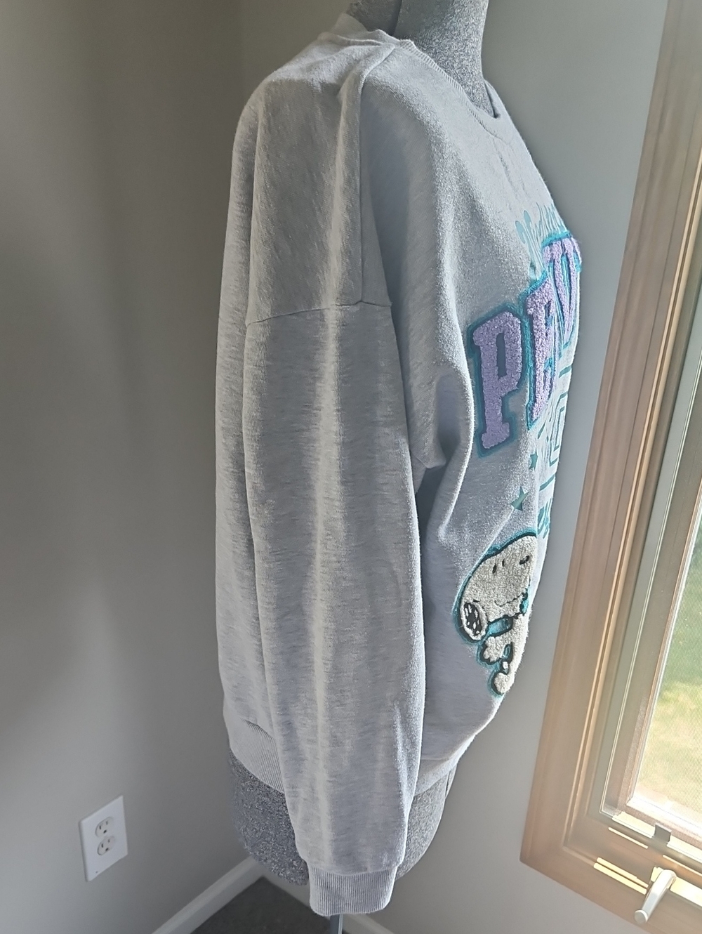 Peanuts Snoopy And Woodstock Textured Graphic Sweatshirt - Picture 4 of 5